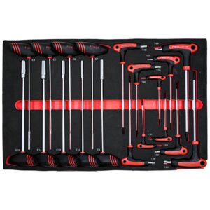 19pc Star Tamperproof Grip Key & Star Nut T Handle Set
