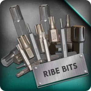 Ribe Bits