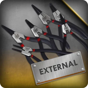 External