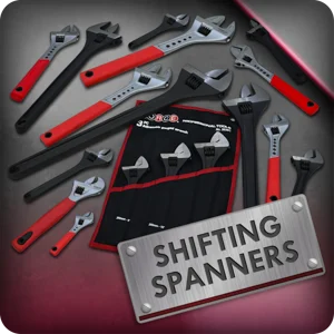 Shifting Spanners